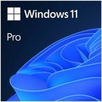 Microsoft FQC-10528 MS WINDOWS 11 PRO 64BIT ENG OEM İşletim Sistemi