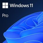 Microsoft FQC-10556 MS Windows 11 Pro 64 Bit TR OEM İşletim Sistemi