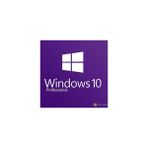Microsoft Windows 10 Pro 64BIT Türkçe OEM Lisanslı Sürüm (FQC-08977) Güçlü Performans