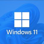 Microsoft Windows 11 Pro OEM 64 Bit Türkçe İşletim Sistemi