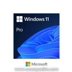 Microsoft Windows 11 Pro OEM Key 32-64 Bit Türkçe Elektronik Lisans