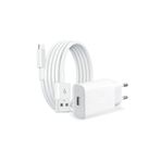 MİCROTECH Apple iPad 10. Nesil A2757 Tablet Şarj Aleti 7gfpfws21fff0137