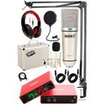 Midex Special Paket-2 Stüdyo Ekipmanları Ses Kartı Mikrofon Kulaklık