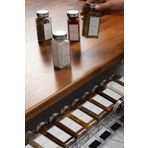 Mienda Home 12'li Şeffaf Kristal Plexi Standlı Cam Baharatlık Seti Kapaklı Beyaz Etiketli Baharatlık Mh03slvr12