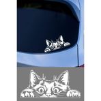 MIGNATIS Bagajdan Bakan Kedi Oto Araba Sticker, Cam ve Metal Yüzeye Uygun, Vinil, Düz Desen, Mat, 15x15 cm, Kendinden Yapışkanlı (beyaz)