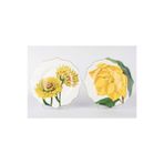 Mikasa Moor 2li Art Of Botanical Sarı Servis Tabağı 28 cm
