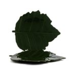 Mikasa Moor Leaf Yeşil 2’Li Tabak 28 X 25 Cm