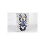 Mikasa Moor Lobster Luxe 35x24x3 cm Kitap Kutu