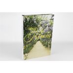 Mikasa Moor London Bloom 35x24x3 cm Kitap Kutu
