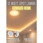Mikasso 12W Günışığı Spot Lamba, Yüksek Lümen Tak Çalıştır Trafosu Içinde, Slim LED Panel - Çok Renkli