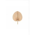 Mikasso Aura Medium Boy Palmiye Yaprağı Duvar Süsü, Japon Yelpazesi Bohem Stil Dekorasyon, 30 x 20 cm Bej Ba - Çok Renkli