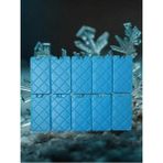 Mikasso Buz Aküsü Buz Kasedi Ice Box 10 Lu Set Plastik
