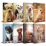 Mikasso Köpek Temalı Süresiz Planlama Defter Seti - 8 Defter Karton Düz Çizgisiz Orta Boy Kahverengi Konsept - Çok Renkli