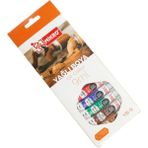 Mikro 12 Renk Yağlı Boya 9 Ml. Yb-