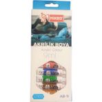 Mikro Akrilik Boya Tüp 12 Renk 9 ml Akrilik Boya 1 Paket