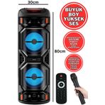 Mila Işıklı Büyük Boy Party Box Bluetooth Hoparlör Taşınabilir Şarjlı Ses Sistemi RADYOLU Karaoke Mic