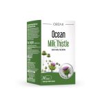 Milk Thistle Takviye Edici Gıda 30 Tablet