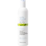 Milk_shake No Frizz Allowed Perfecting Conditioner Pürüzsüzleştirici Bakım Kremi 300 ml
