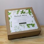 Millawanda Mikro Filiz Yetiştirme Kiti - 2'li Salad Mix - Brokoli, Kale, Kohlrabi, Roka, Kırmızı Lahana - 1 Adet