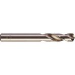 Milwaukee Metal Matkap Ucu Thunderweb Seri 4,2x 75 mm 1'li T4932352353