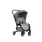 Mima Zigi Argento 0-22 Kg Bebek Arabası - Gümüş