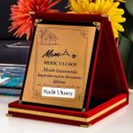 Mimar Temalı Kişiye Özel Plaket - Kadife Kutulu - Renkli - standart