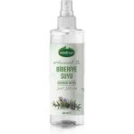 Mindivan Biberiye Suyu Sprey Şişe 250 ml