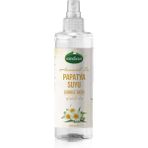 Mindivan Papatya Suyu Sprey Şişe 250 ml