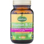 Mindivan Vitamin B12 Ginkgo Biloba Arginine 60 Kapsül