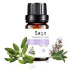 Mingjing Shop3 Adaçayı Tarzı Kokulu Mum Esansiyel Yağı Çay Ağacı Gül Lavanta Sandal Ağacı Masajı Mum Yapımı Için Esansiyel Koku Yağı (Yurt Dışından) - Beyaz