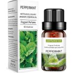 Mingjing Shop3 Nane Tarzı 10ML Saf Doğal Bitki Difüzör Uçucu Yağlar Brülör Aromalı Uçucu Yağ Okaliptüs Vanilya Nane Lavanta Gül Çay Ağacı Yağı (Yurt Dışından) - mum yapımı