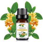 Mingjing Shop3 Osmanthus Stili 10 ml Koku Yağı Mum Sabunu Yapımı Uçucu Yağlar Için 33 Lezzet Difüzör Uyku Banyo Sabunu Spa Dıy Kokulu Mum Parfüm (Yurt Dışından) - Mum Yapımı - Beyaz
