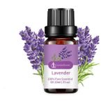 Mingjinshop3 Lavanta Tarzı Esansiyel Yağ Aromaterapi Masaj Cilt Bakımı Reçete Lavanta Gül Çayı Okaliptüs Aromatik Bitki Özü (Yurt Dışından)