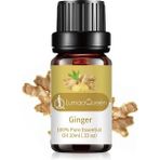 Mingjinshop3 Zencefil Stili Esansiyel Yağ Aromaterapi Masaj Cilt Bakımı Reçete Lavanta Gül Çayı Okaliptüs Aromatik Bitki Özü (Yurt Dışından)