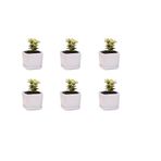 Mini 6'lı Set 2x2x1,6 inç Kare Modern Minimalist Beyaz Seramik Sukulent Mini Saksı/Altlıklı Pencere Kutusu (6, 2 inç)