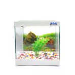 Mini Akvaryum Beyaz 20X20x15 Akvaryum Renkli Cakil Plastik Bitki Arka Fon