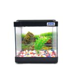 Mini Akvaryum Siyah 20X20x15 Akvaryum Renkli Cakil Plastik Bitki Arka Fon