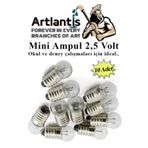 Mini Ampul 2,5 Volt 10 Adet 1 Paket Küçük Elektrik Deney Ampulü 2.5 v Okul Sınıf Elektrik Devre Deney Ampulü