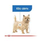 Mini Lightweight Kuru Köpek Maması 3kg