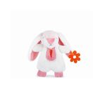 Mini Mini Dişlikli Peluş Uyku Arkadaşım Tavşan