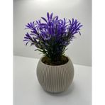 Mini Saksıda Afrika Zambağı Yapay Bitki Gerçek Taş Yosunlu 18 Cm Dekoratif Banyo Mutfak Masa Çiçeği - Bejsaksı-morbitki