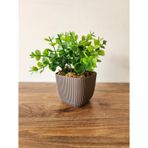 Mini Saksıda Yapay Bitki Şimşir Gerçek Taş Yosunlu Toplam 16 Cm Dekoratif Banyo Mutfak Masa Çiçeği