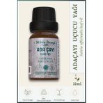 Minia Bahçe Ada Çayı Uçucu Yağı, %100 saf, 10ml - 10 ml