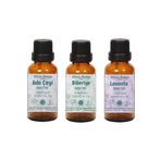 Minia Bahçe Ada Çayı Yağı 10 Ml - Biberiye Yağı 10 Ml - Lavanta Yağı 10 Ml