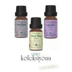 Minia Bahçe Aromaterapi Uyku Koleksiyonu: Sardunya, Ylang Ylang Ve Lavanta Uçucu Yağları (%100 Saf, 10Ml X 3)