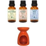 Minia Bahçe Limon Kabuğu Yağı 10ML, Portakal Yağı 10ML, Nane Yağı 10ML ve Buhurdanlık - 10 ml