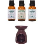 Minia Bahçe Sardunya (Itır) Yağı 10 ml, Tarçın Kabuğu Yağı 10 ml, Ada Çayı Yağı 10 ml ve Buhurdanlık - 30 ml