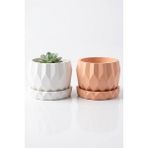 Minic Store 2'li Sukulent Saksı 7x7 cm - Turuncu - Beyaz