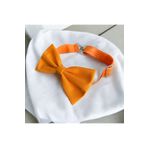 Miniko Butik Turuncu Çocuk Papyon