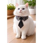 Minikpaw aksesuar Çiçek Desenli Yetişkin Kedi ve Küçük Irk Köpek Gömlek Yaka